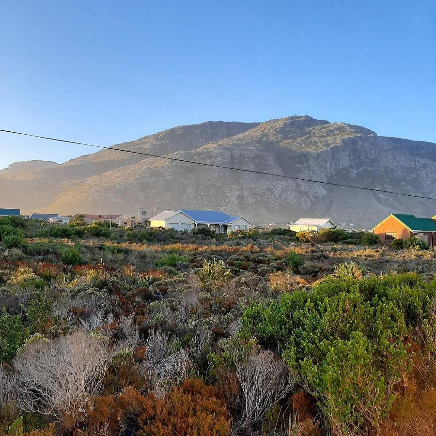 Brandys Beach House Betty's Bay Eksteriør billede
