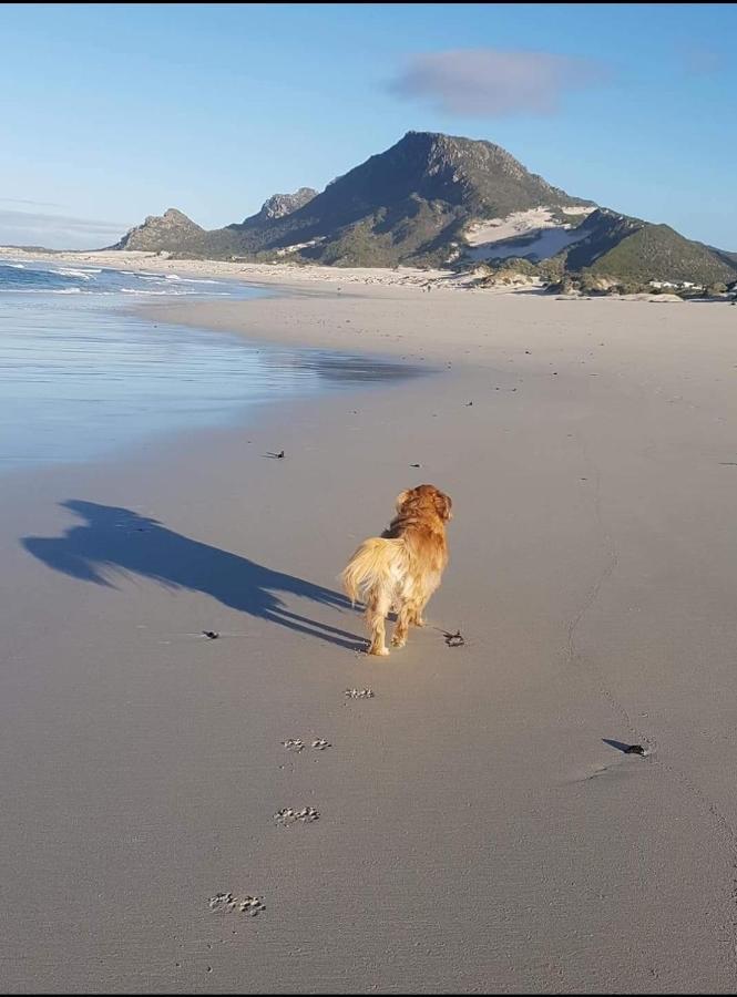 Brandys Beach House Betty's Bay Eksteriør billede