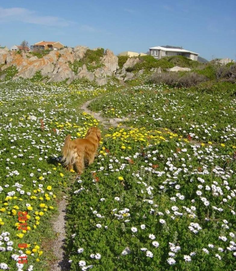 Brandys Beach House Betty's Bay Eksteriør billede