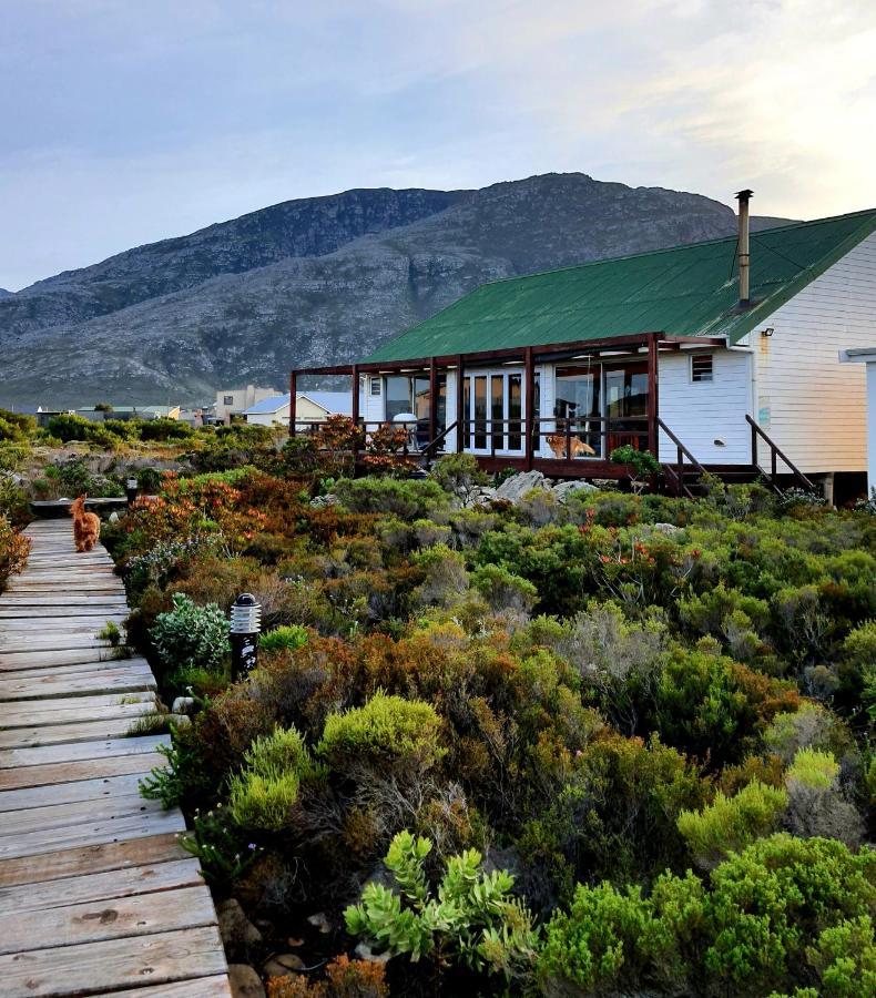 Brandys Beach House Betty's Bay Eksteriør billede
