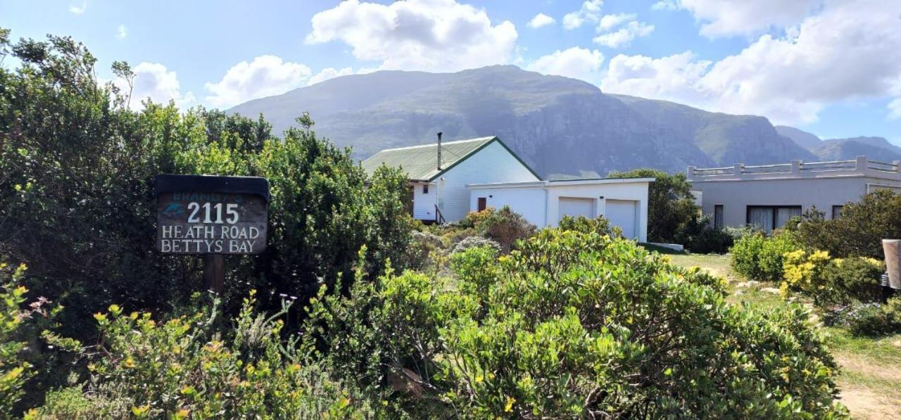 Brandys Beach House Betty's Bay Eksteriør billede