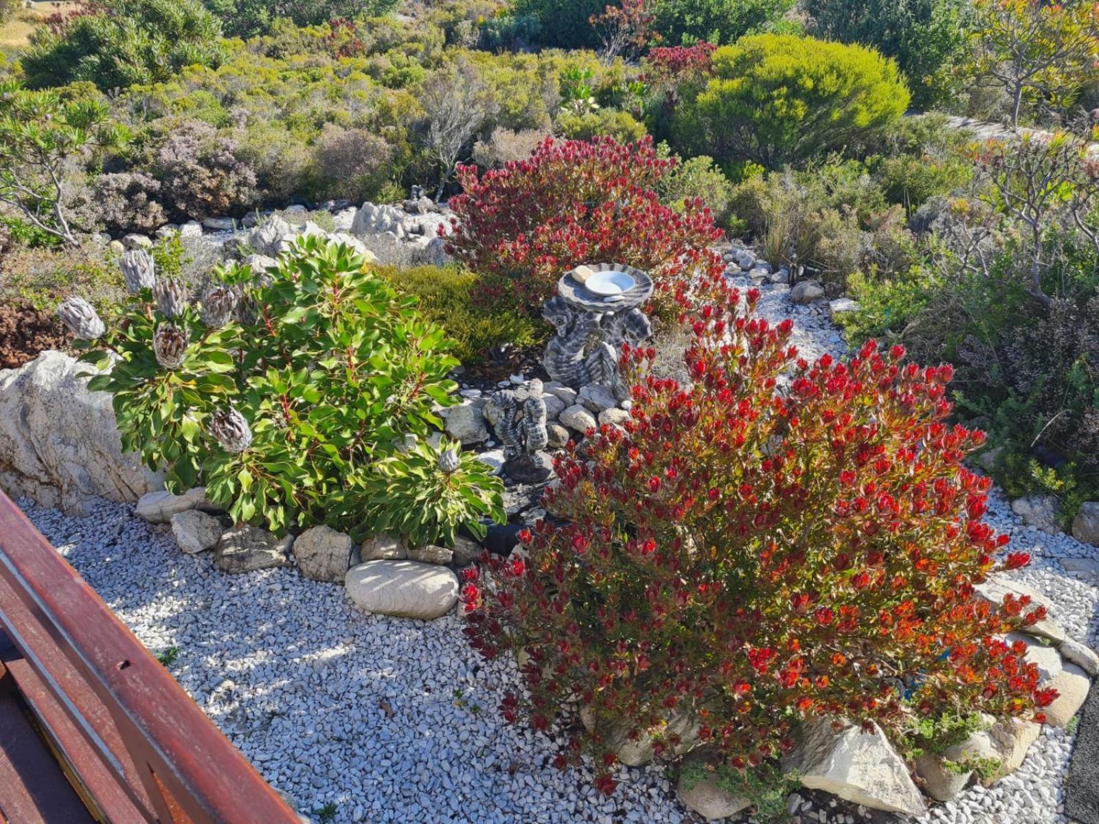 Brandys Beach House Betty's Bay Eksteriør billede